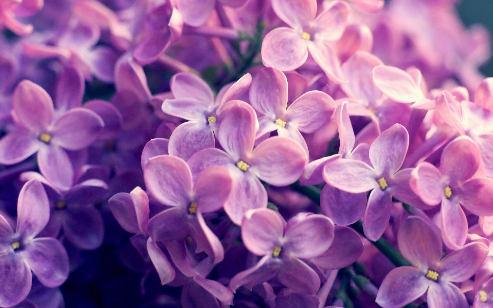 中国男篮世预赛力克约旦,胡金秋贡献全场最高分,中国男篮打约旦男篮