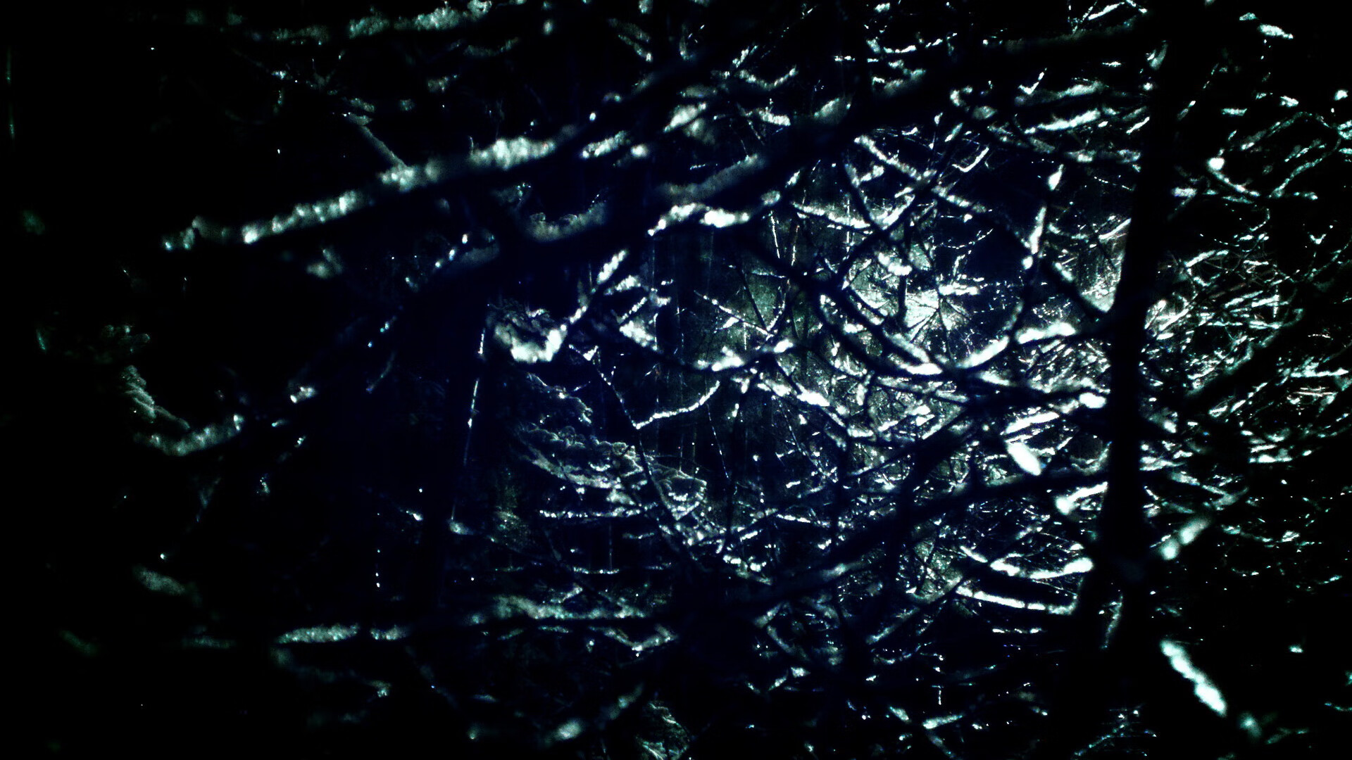 熊猫体育娱乐-森林狼球员集体伤愈，球队士气大振，森林狼队史十大球星