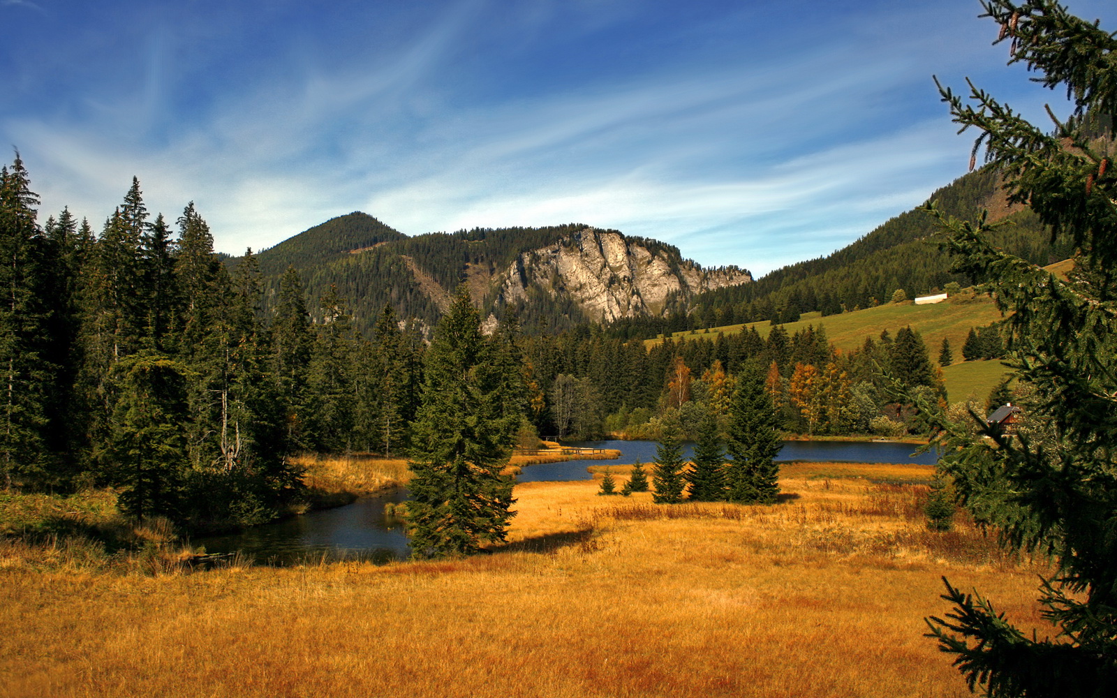 熊猫体育下载-篮球赛场成名选手频现，激发青年热情，篮球比赛球员介绍