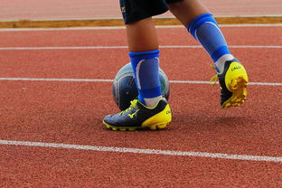 熊猫体育平台安全-中国青少年篮球运动员体能素质发展规律，我国篮球青少年运动发展现状