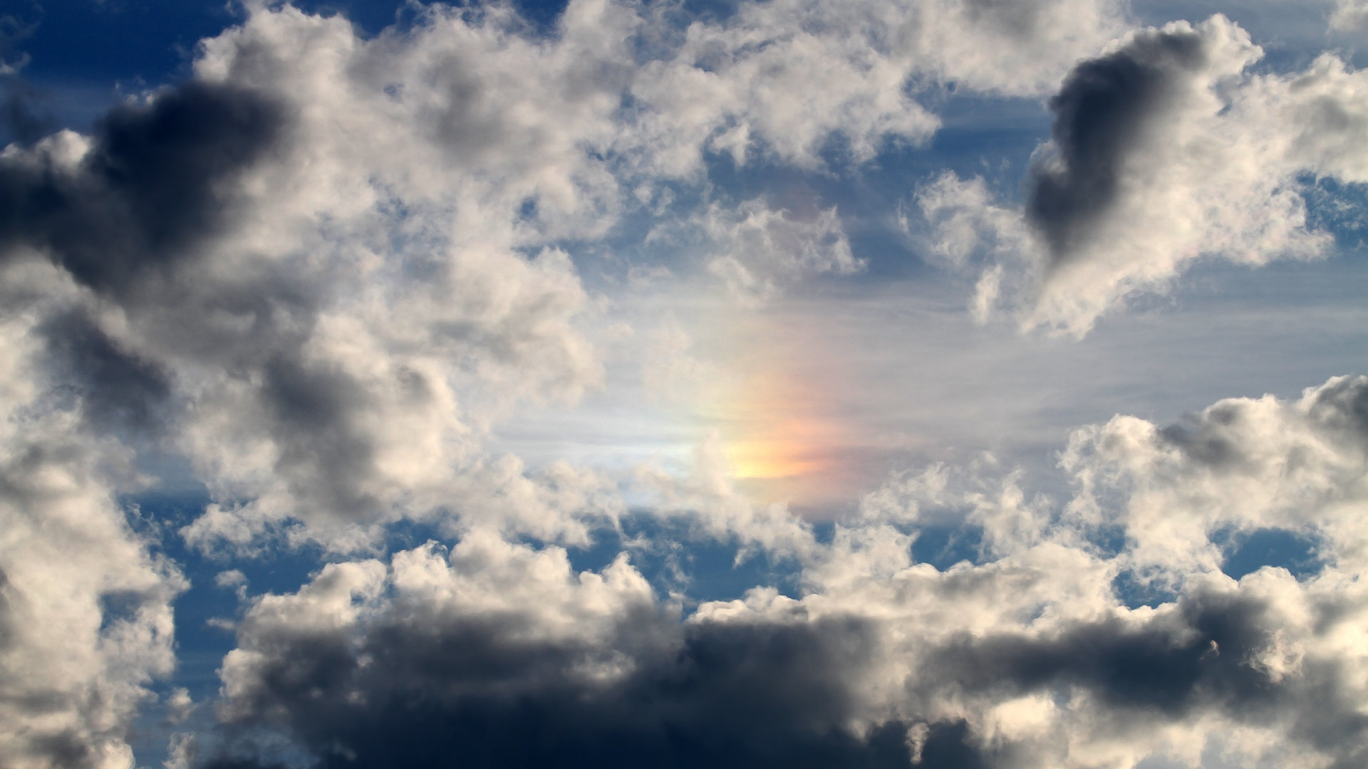 熊猫体育-2025轻艇马拉松：国际范、烟火气全都有，世界陆上赛艇马拉松