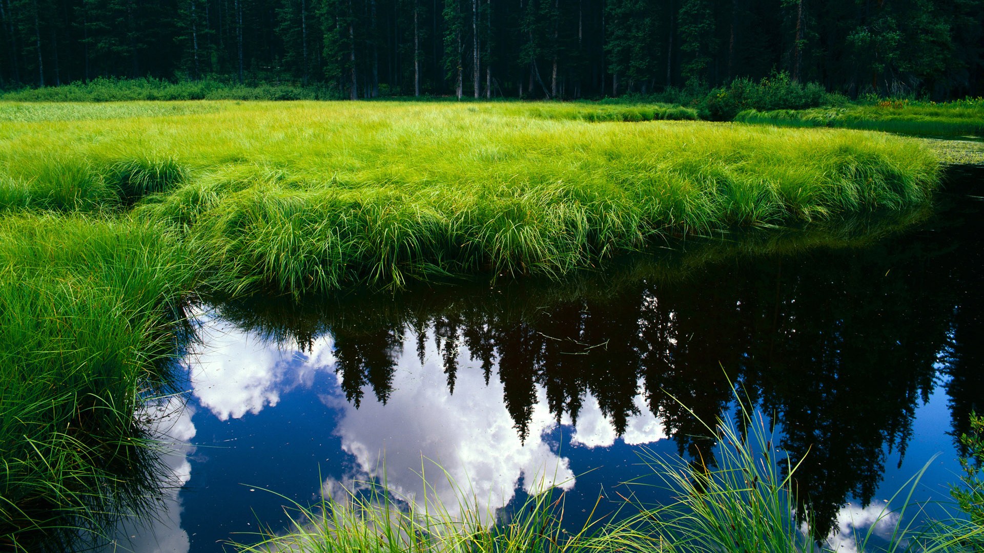 “新都兴城垒球:精彩瞬间不断,比赛白热化”