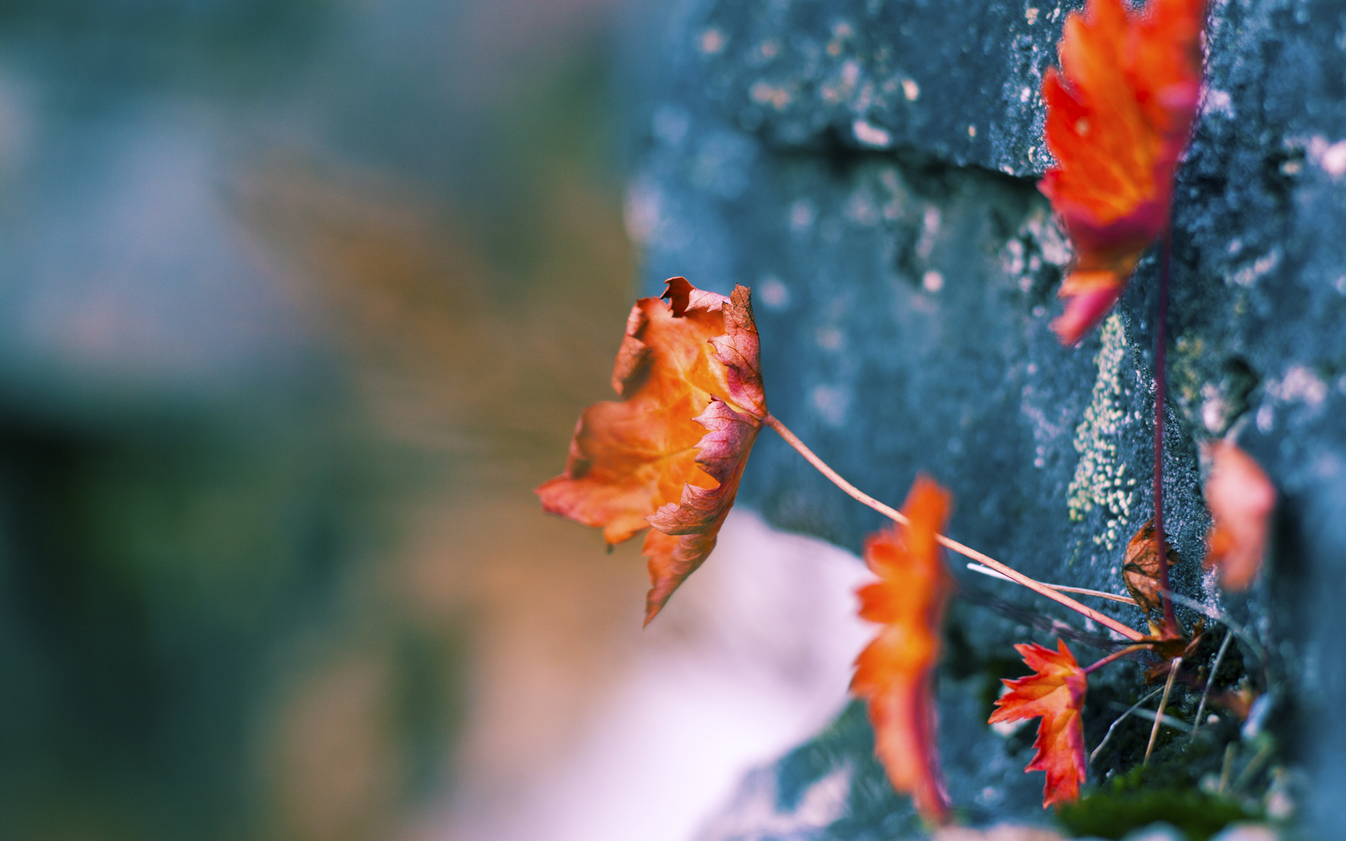 体育新闻中心上线体育内容精准推荐引擎,体育新闻f1