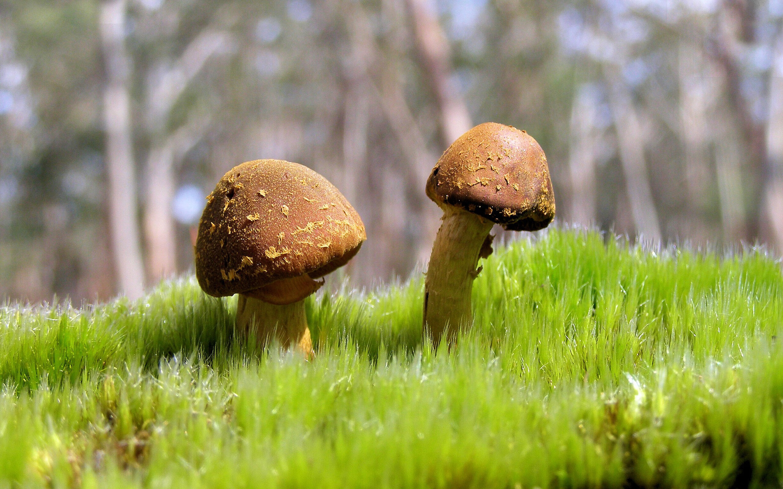 熊猫体育-青少年足球夏令营汇聚各地小球员，全国青少年校园足球夏令营是如何选拔的