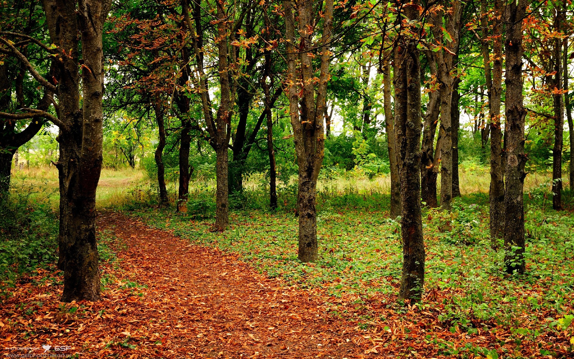 中国足球俱乐部球员职业发展路径多元化,我国职业足球俱乐部发展现状