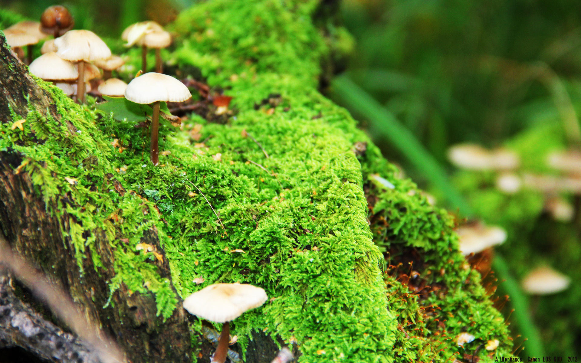 科尔博冲线瞬间引爆现场气氛,科博尔铸造有限公司